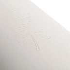 Ensemble canapé-lit d'extérieur 2 pièces avec table en verre trempé